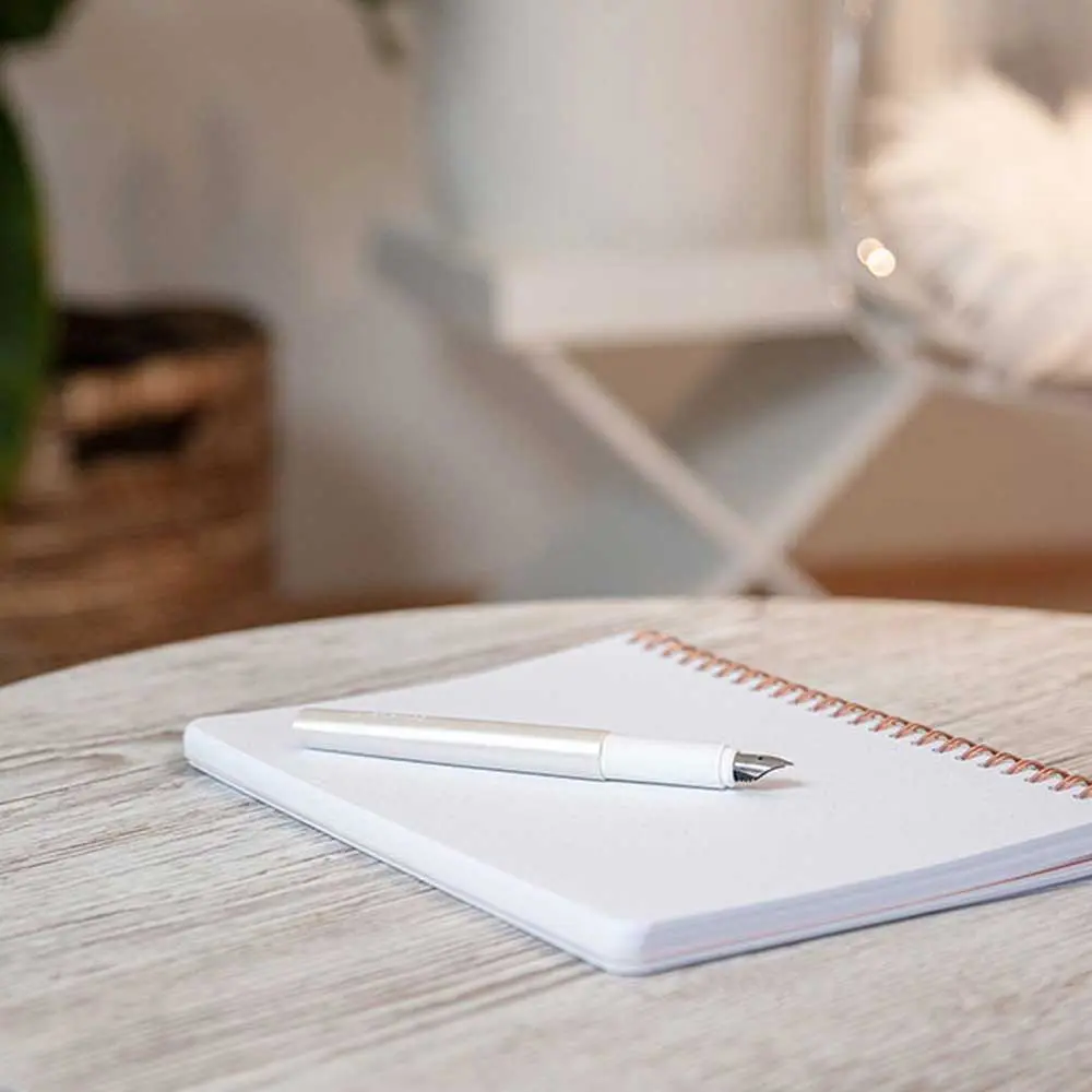 Pero nalivno SCHNEIDER Ceod shiny