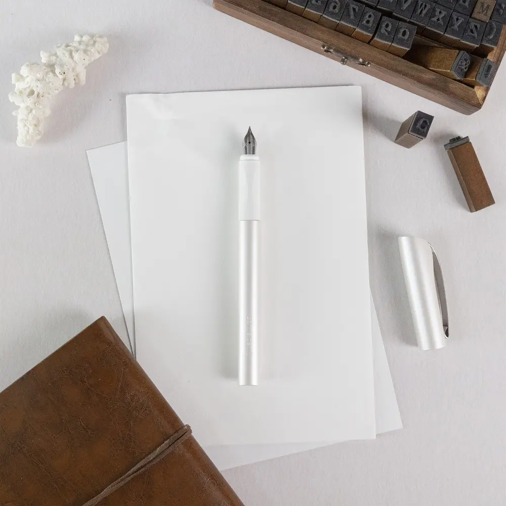 Pero nalivno SCHNEIDER Ceod shiny