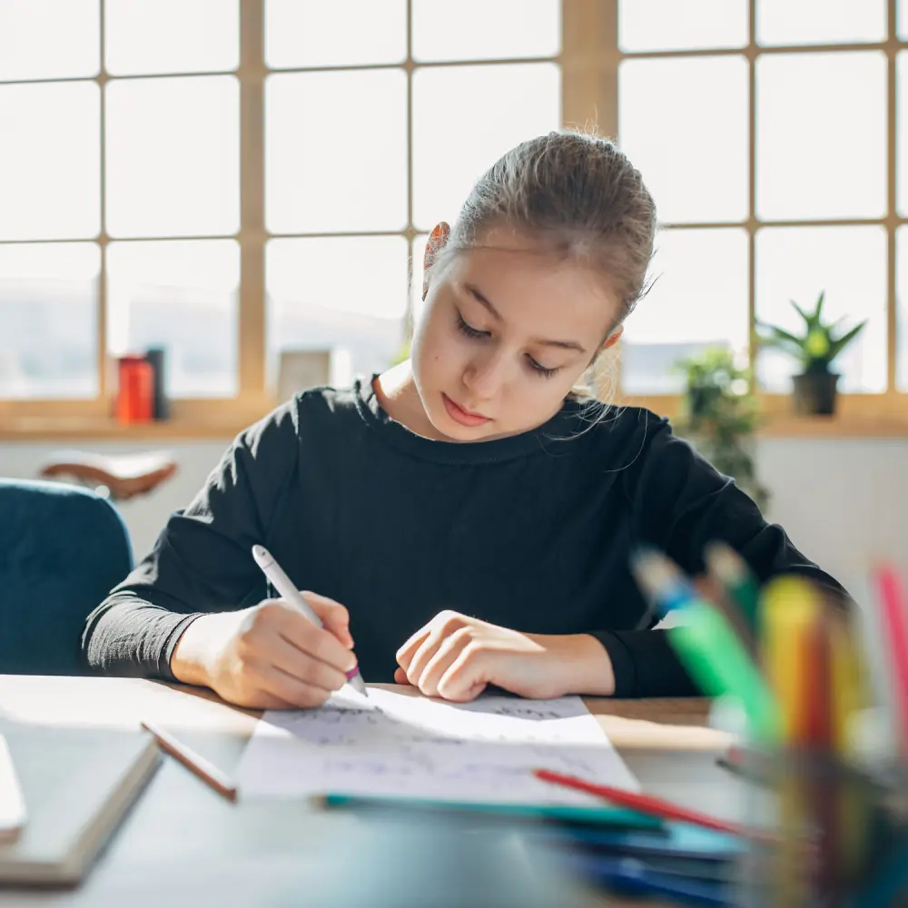 ROLER SCHNEIDER BASE BALL SI/RO