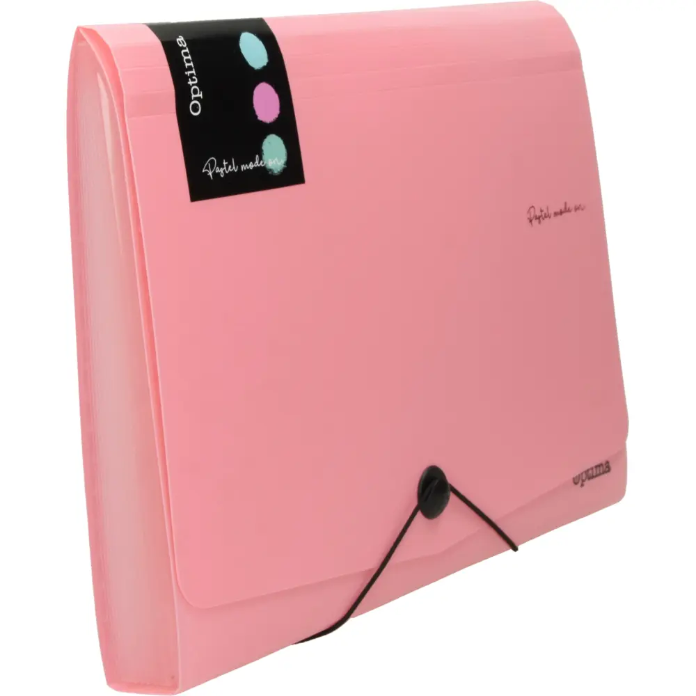 Mapa za dokumente pastel A4/12P sort