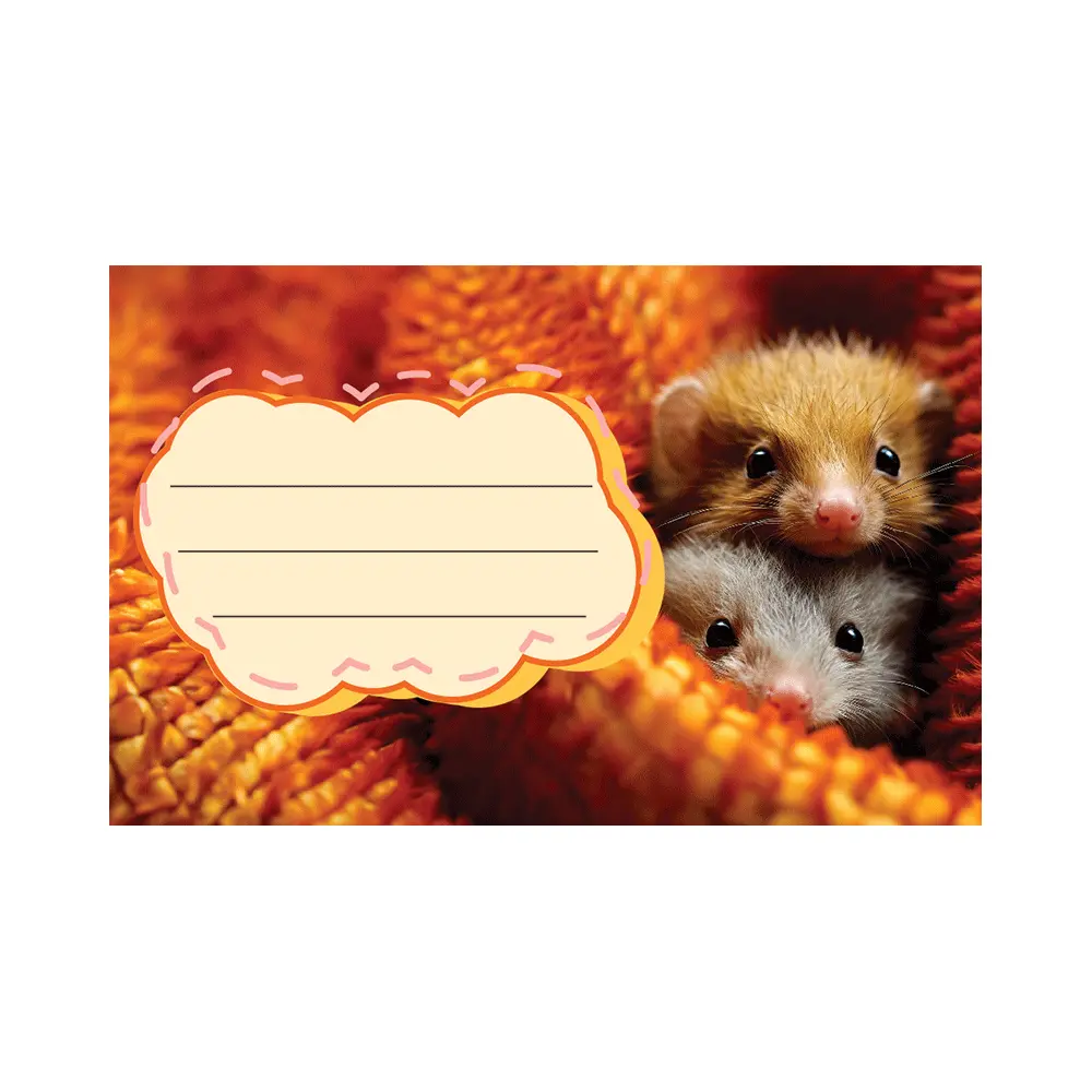 Nalepke za zvezke ANIMAL CUTE 10/1