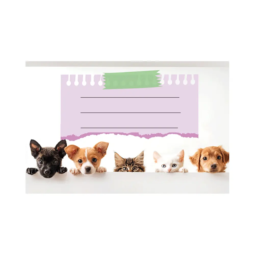 Nalepke za zvezke ANIMAL CUTE 10/1