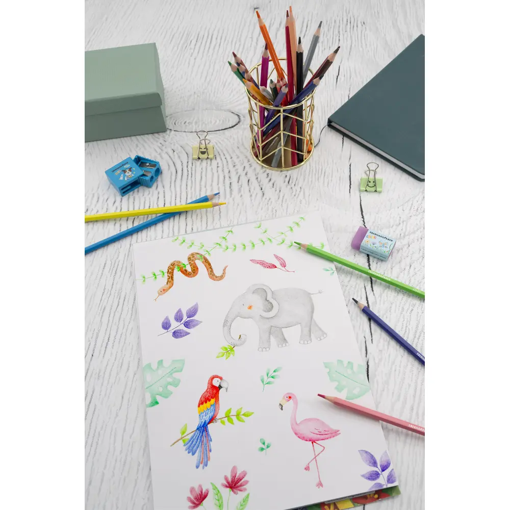 BARVICE EFA COLORI 12/1