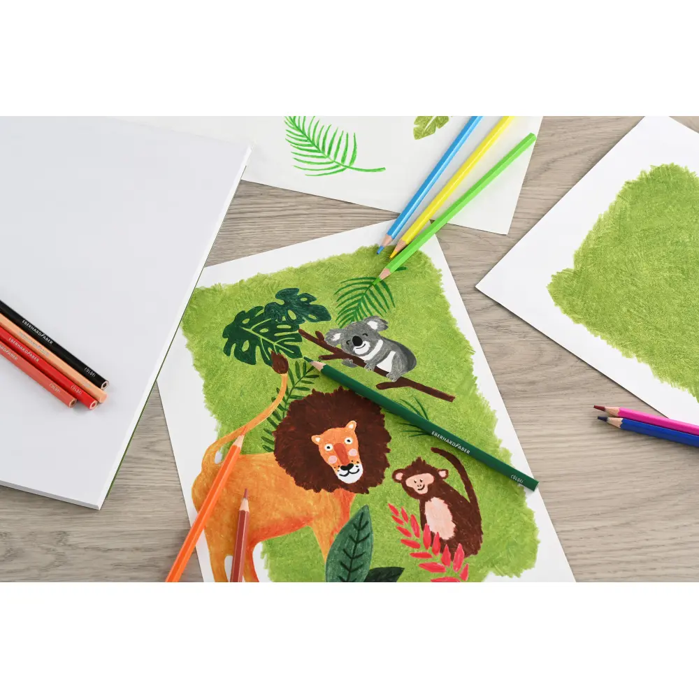 BARVICE EFA COLORI 12/1