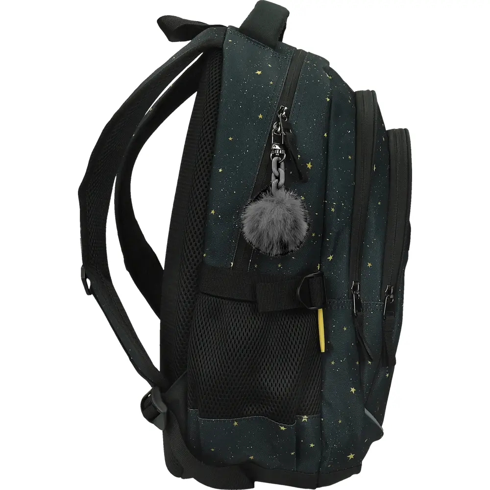 Nahrbtnik round Active Galactic