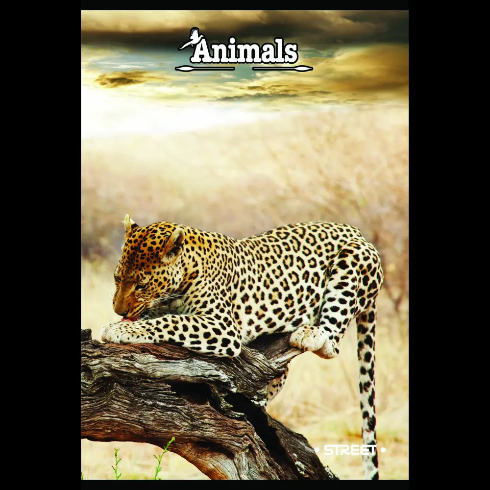 Zvezek Street1 A4 visoki karo