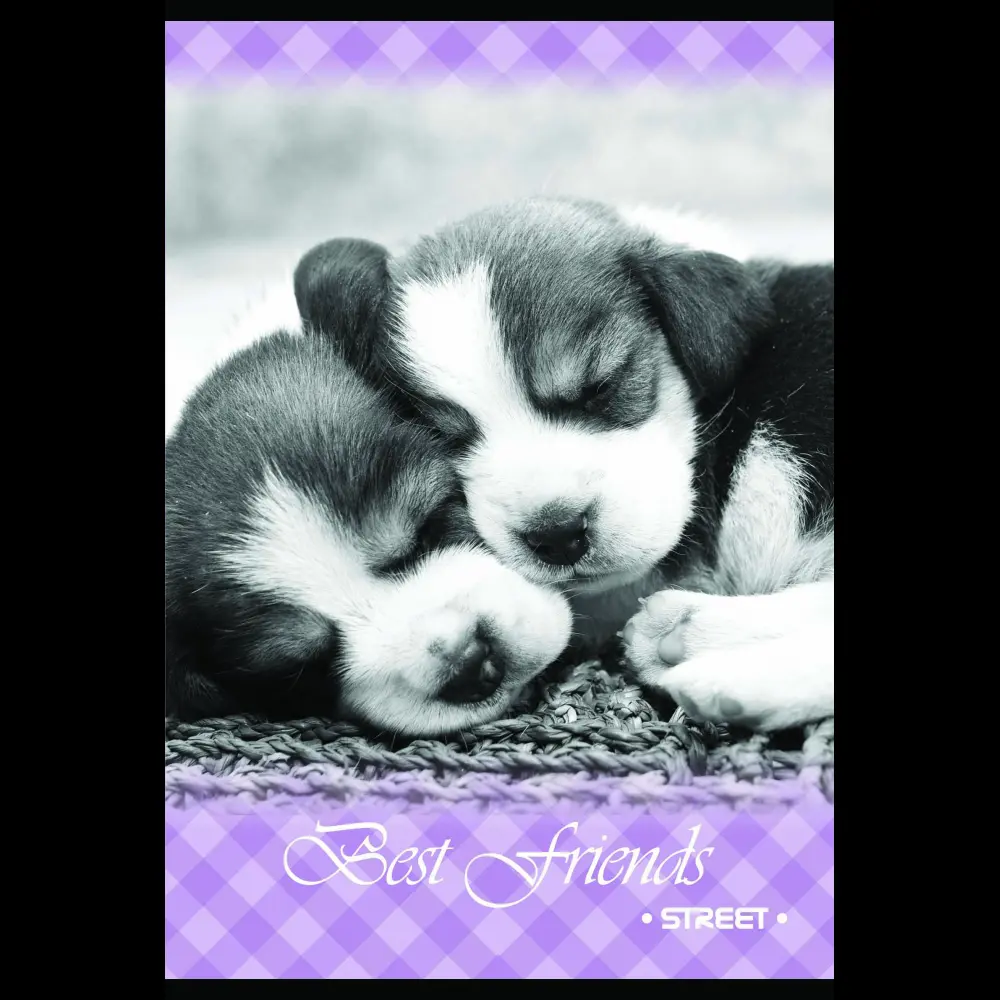 Zvezek Street2 A4 veliki karo