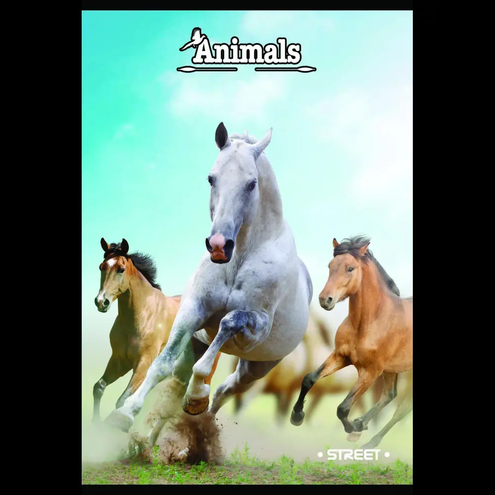 Zvezek Street2 A4 veliki karo