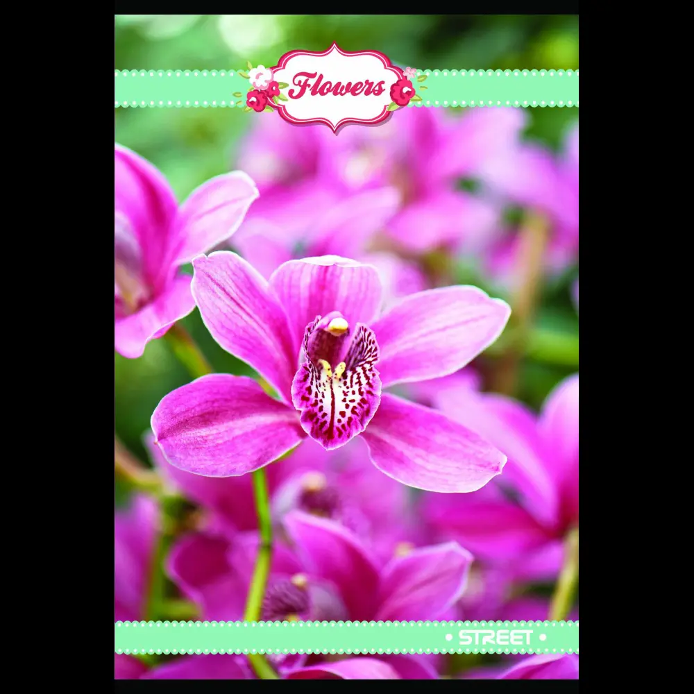 Zvezek s trdimi platnicami Street A4 črt