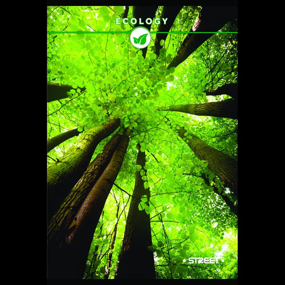 Zvezek s trdimi platnicami Street A4 vis