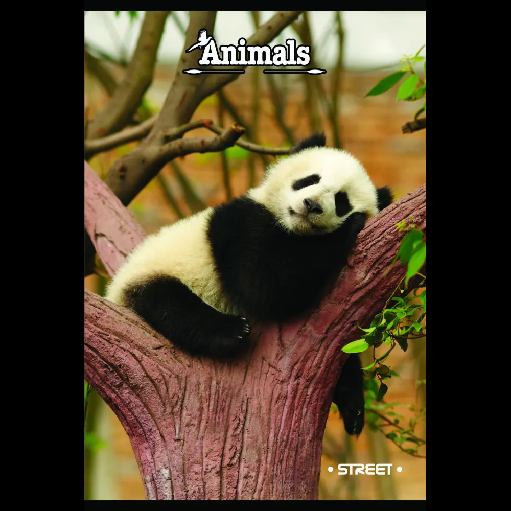 Zvezek s trdimi platnicami Street A5 črt