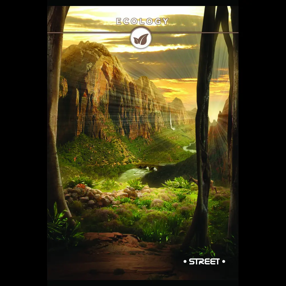 Zvezek s trdimi platnicami Street A4 črt