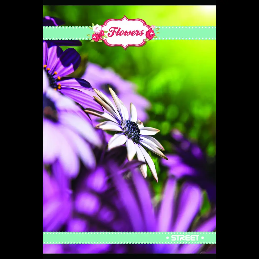 Zvezek s trdimi platnicami Street A4 črt