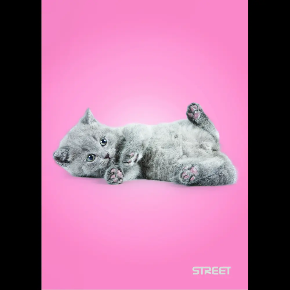 Zvezek Street Friends A4 črte z robom