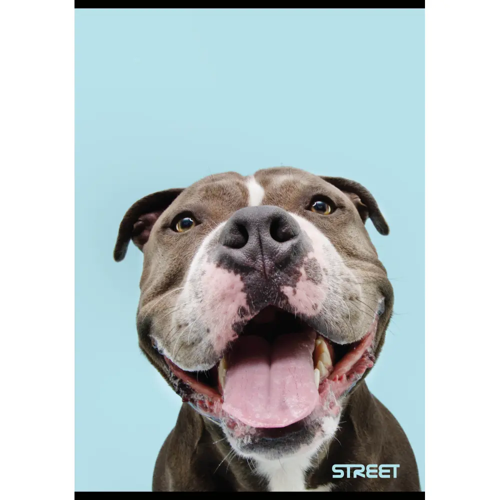 Zvezek Street Friends A4 1CM karo