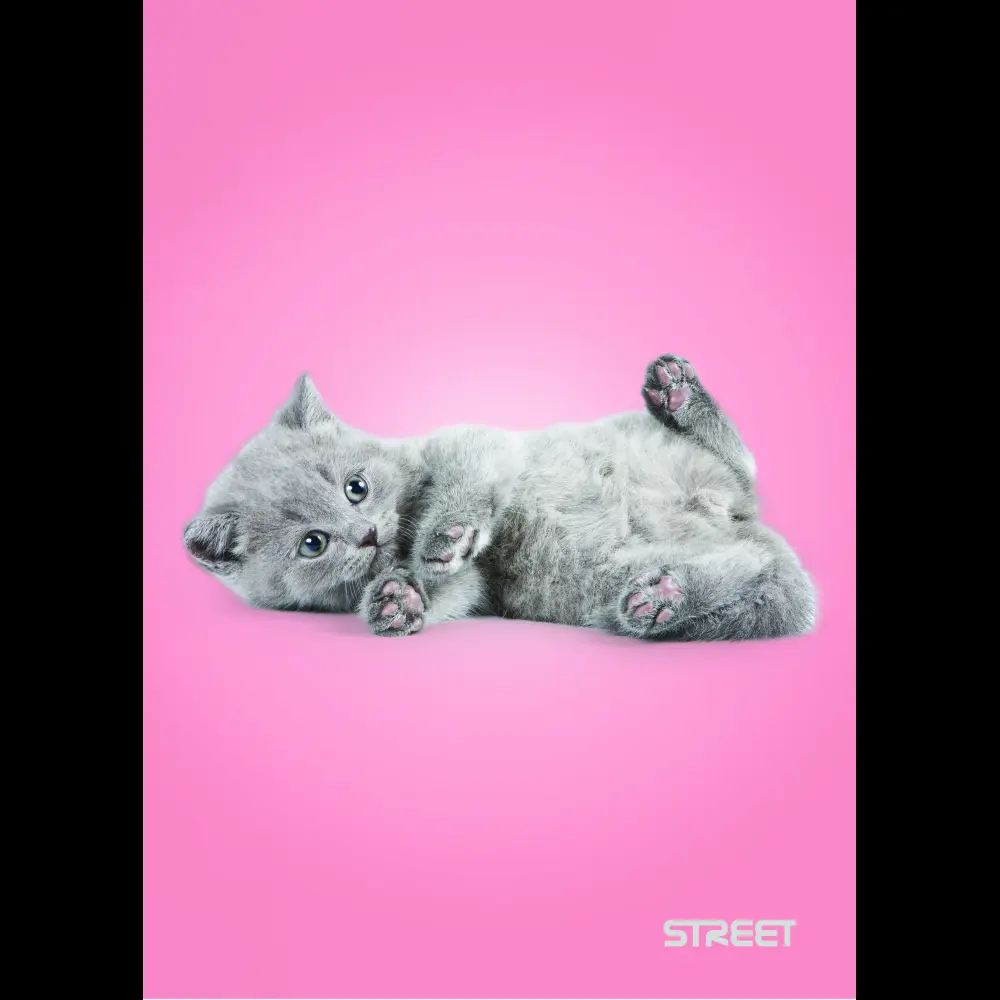 Zvezek Street Friends A5 črte z robom