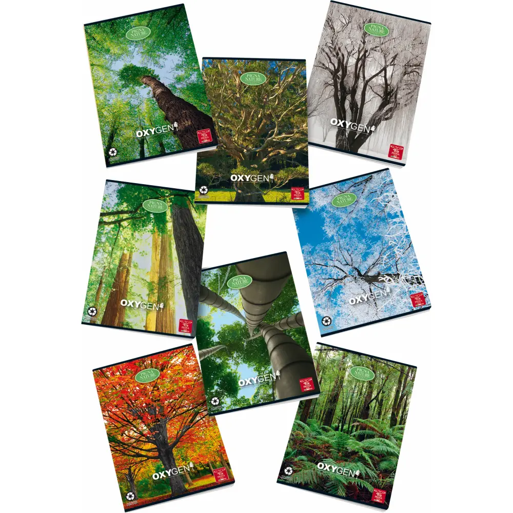 Zvezek Pigna Oxygen A4 mali karo