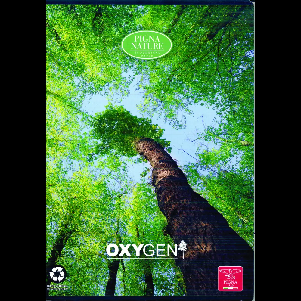 Zvezek Pigna Oxygen A4 mali karo