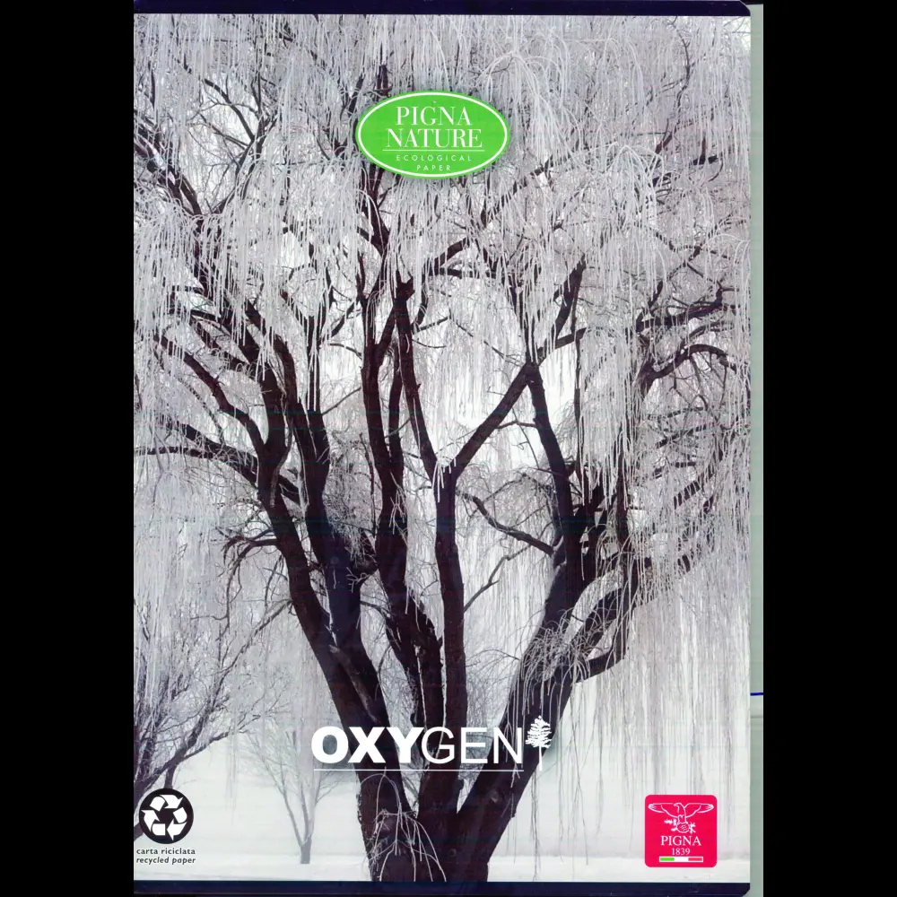 Zvezek Pigna Oxygen A4 mali karo