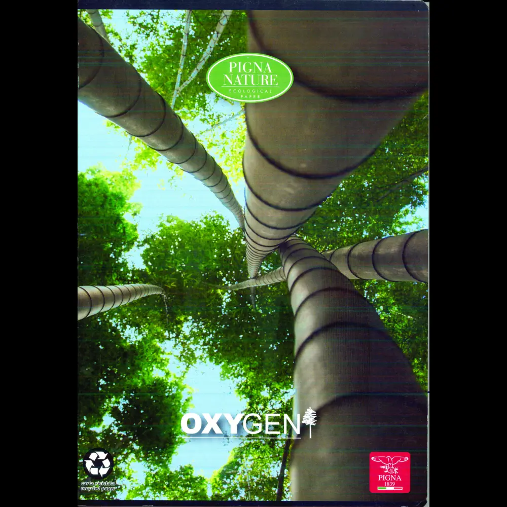 Zvezek Pigna Oxygen A4 mali karo