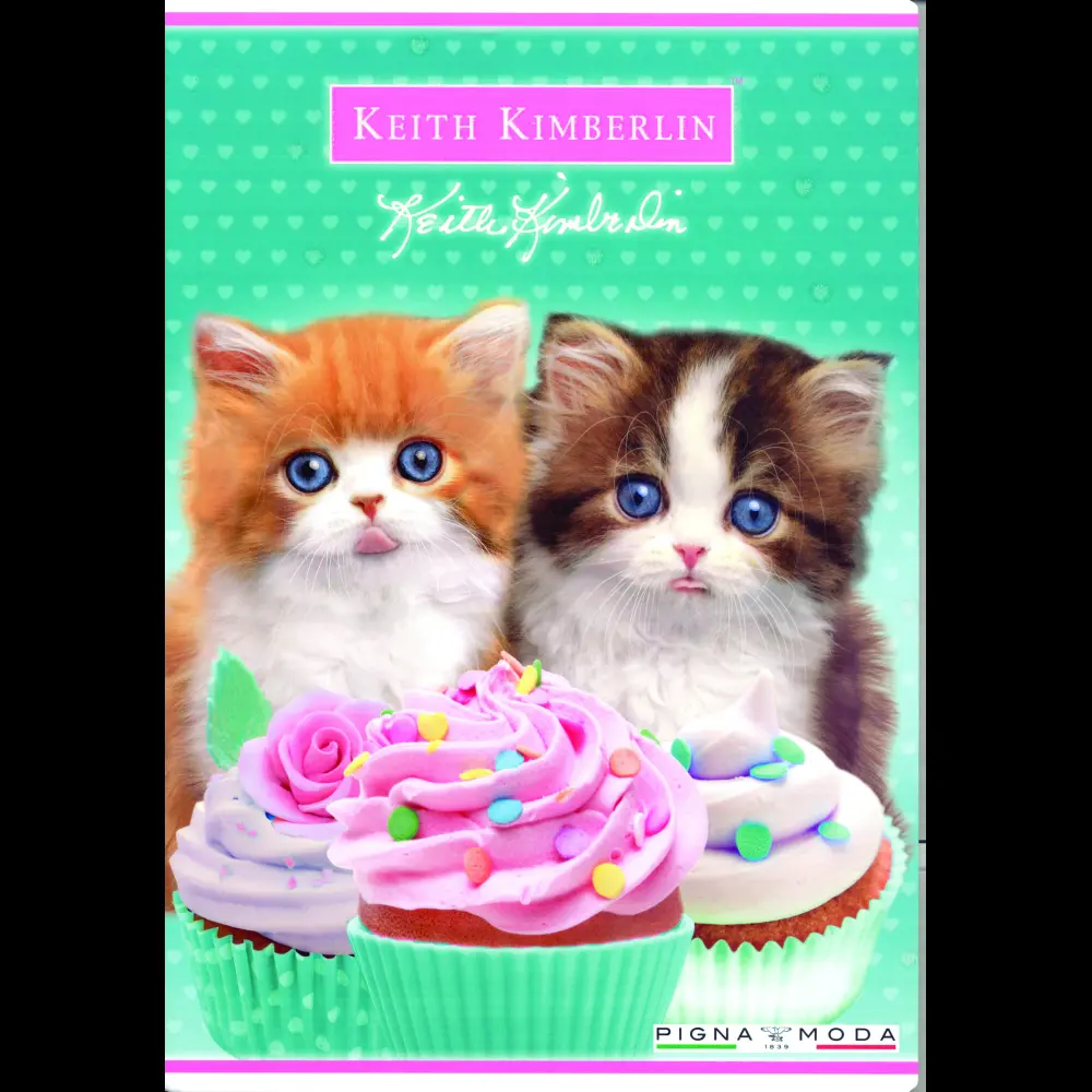 Zvezek Pigna Keith Kimberlin A4 mali kar