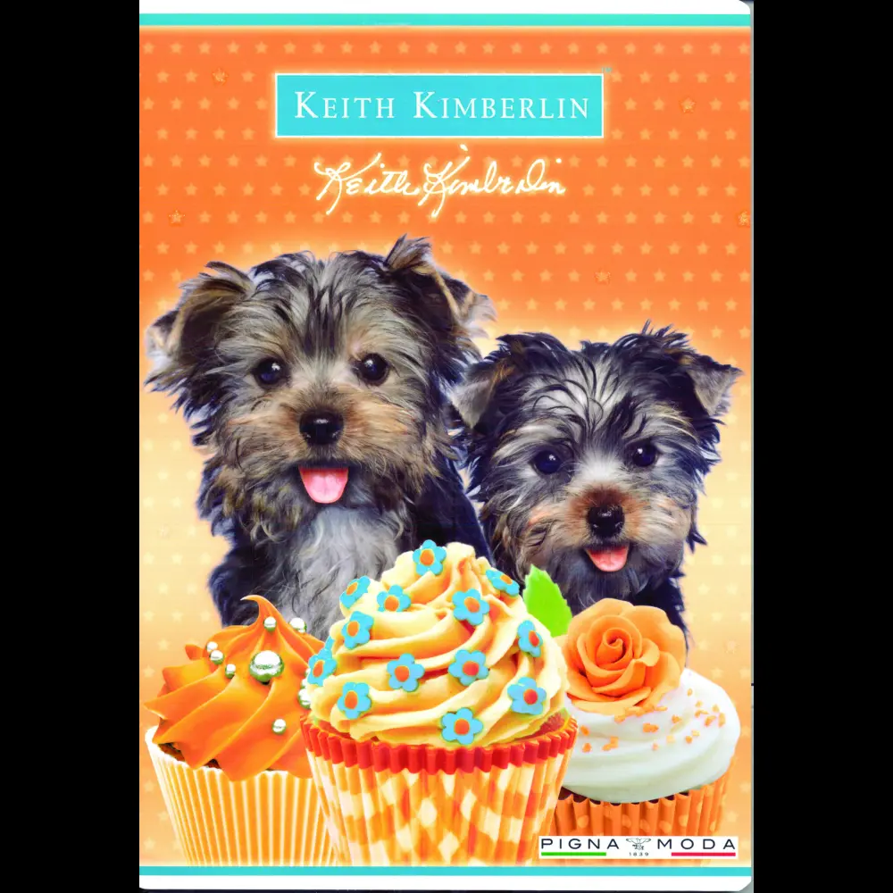 Zvezek Pigna Keith Kimberlin A4 mali kar