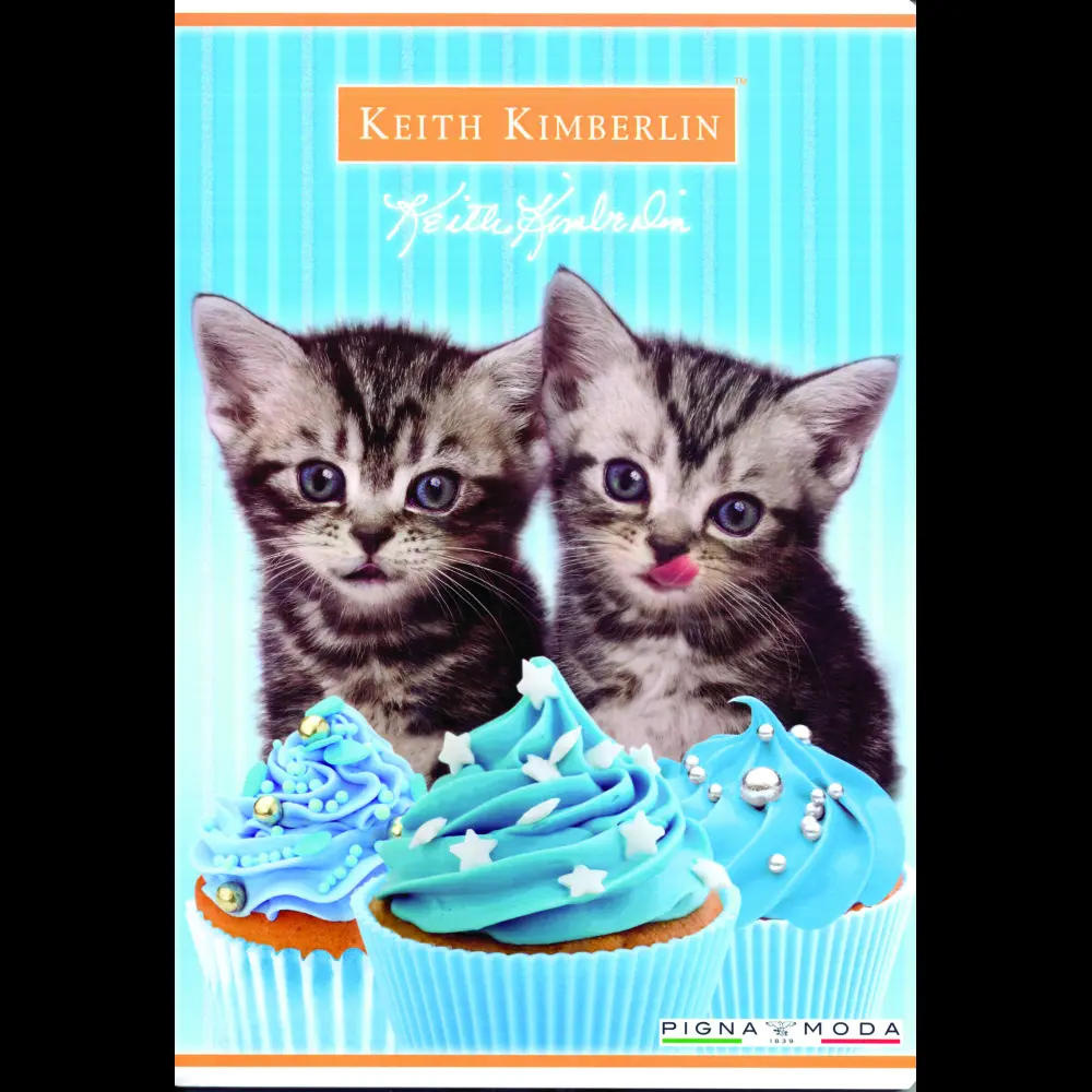 Zvezek Pigna Keith Kimberlin A4 mali kar