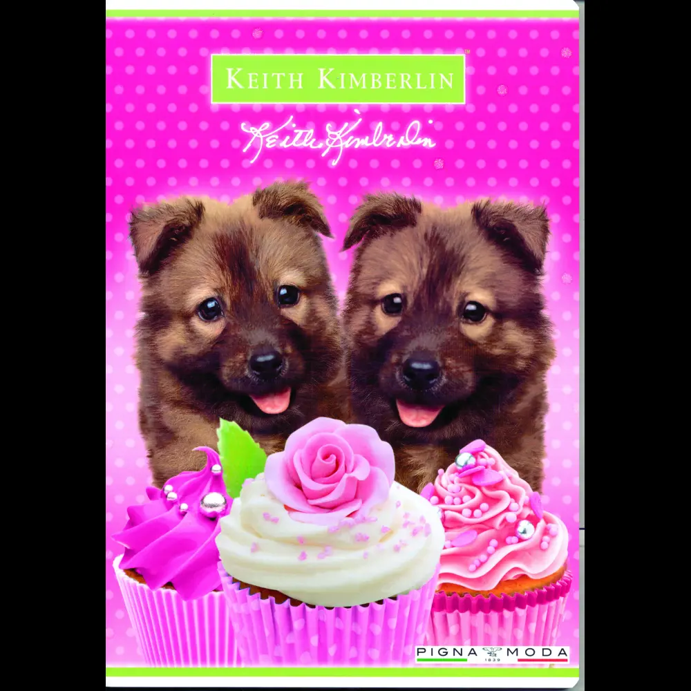 Zvezek Pigna Keith Kimberlin A4 mali kar