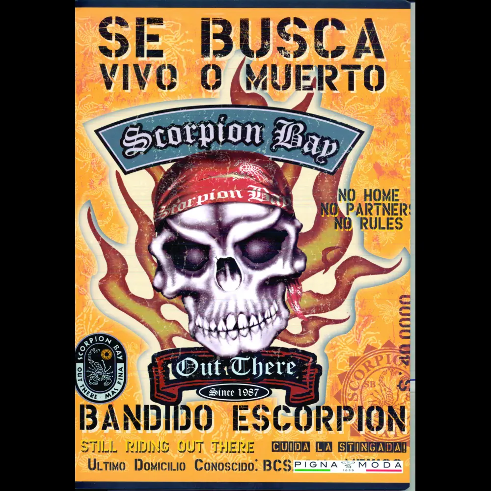 Zvezek Pigna Scorpion bay A4 mali karo