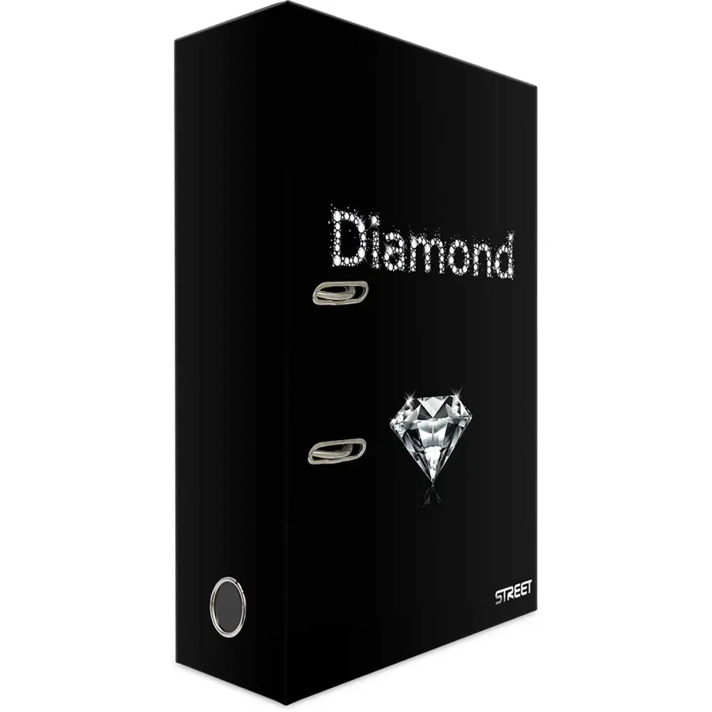 Registrator Treasures A4/80 2 riniki