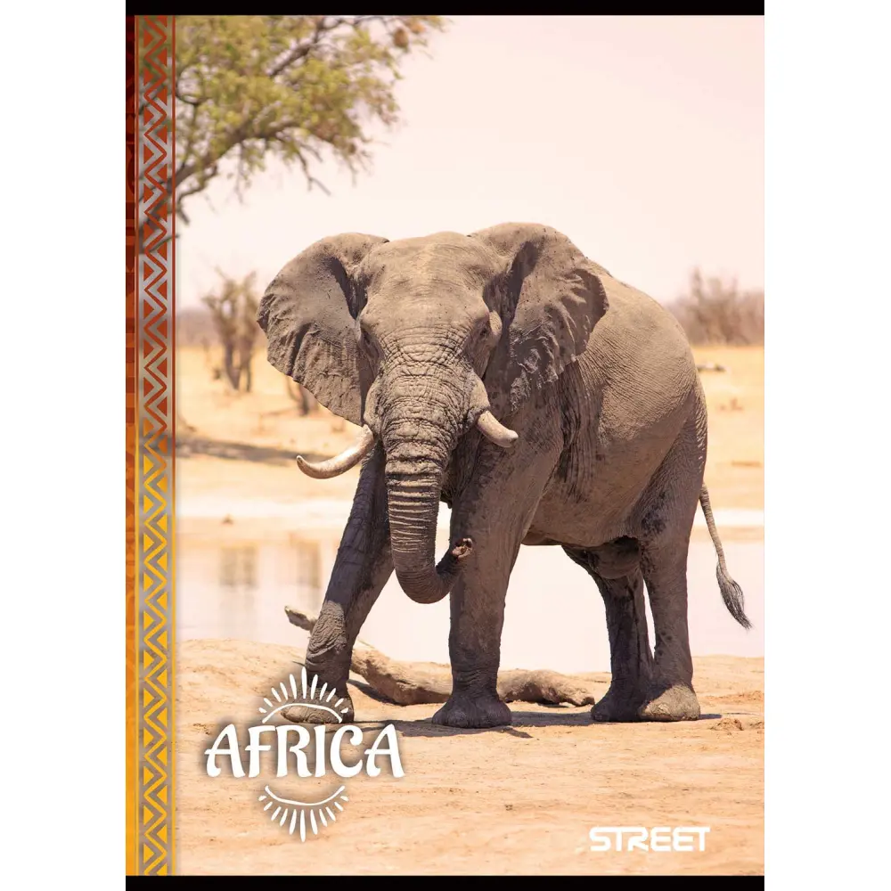 Zvezek Street Africa A4 1CM karo