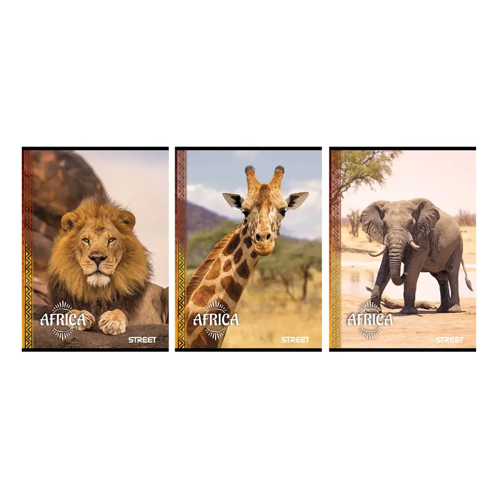 Zvezek Street Africa A4 mali karo
