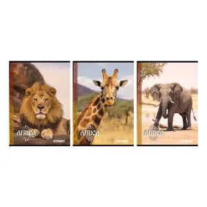 Zvezek Street Africa A4 mali karo