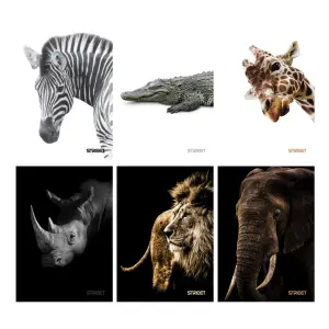 Zvezek Safari A4 črte z robom