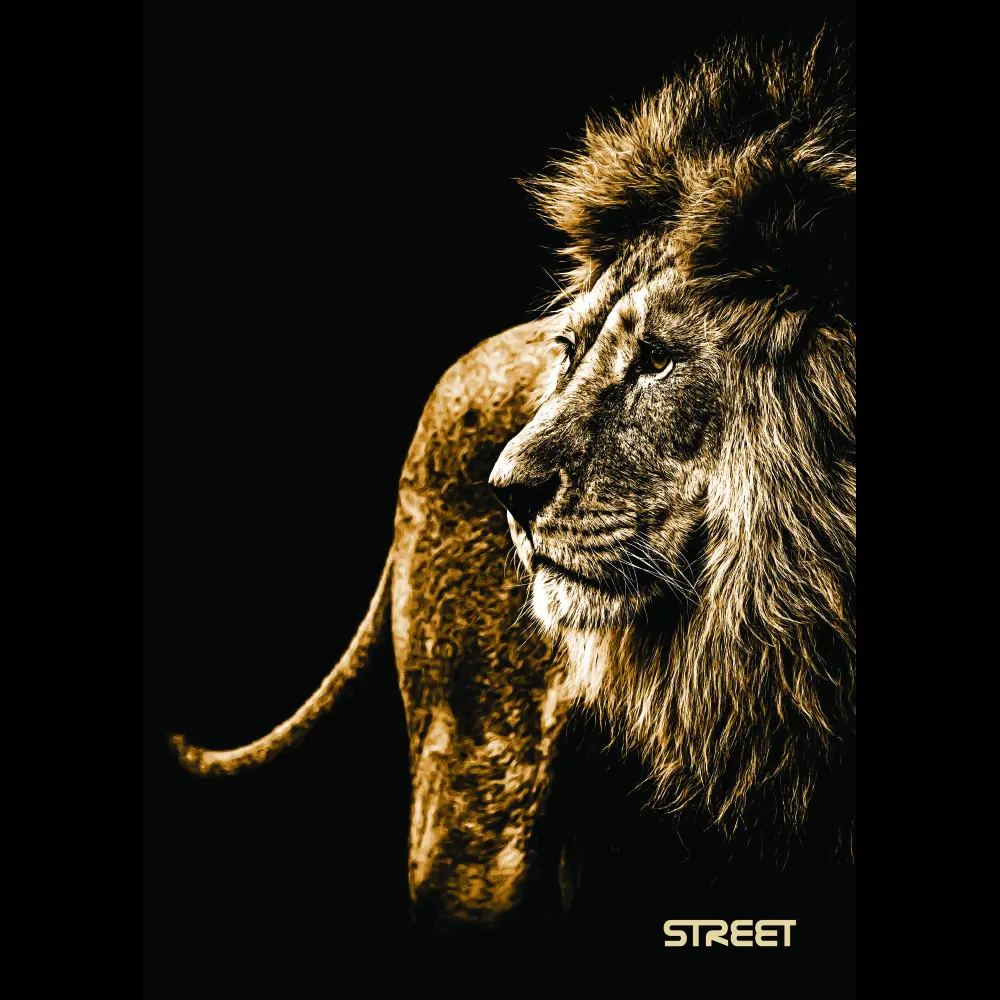 Zvezek Safari A5 črte z robom