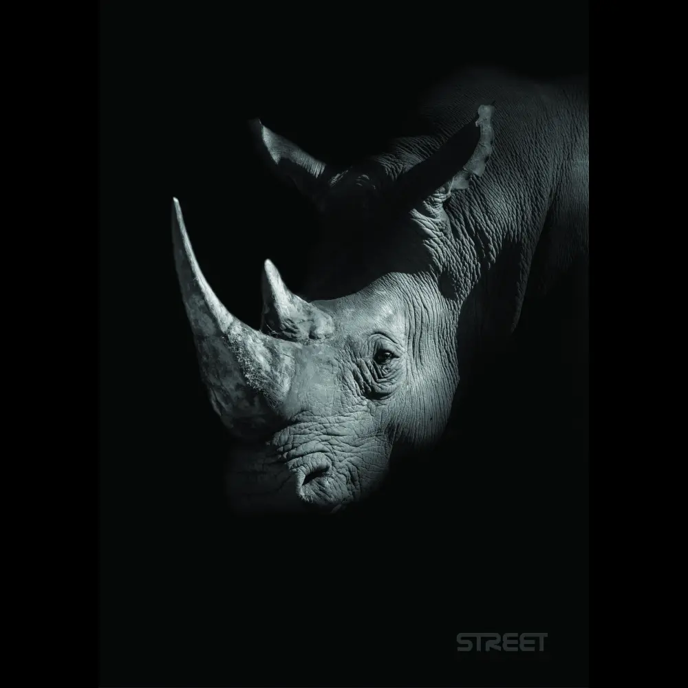 Zvezek Safari A5 brezčrtni