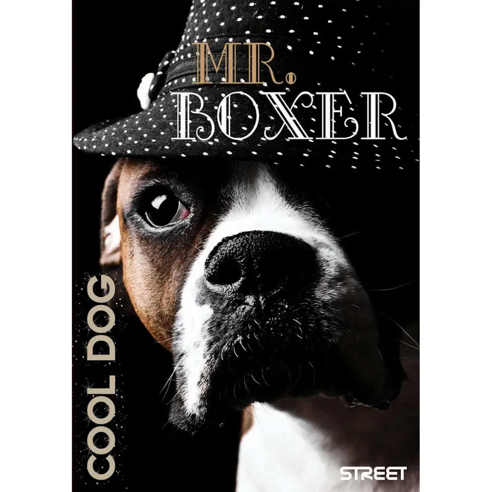 Zvezek Maxi A4, visoki karo