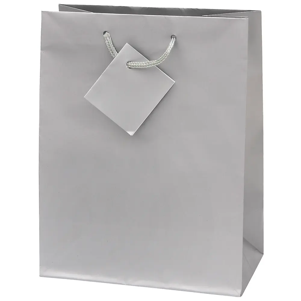 Darilna vrečka S srebrna