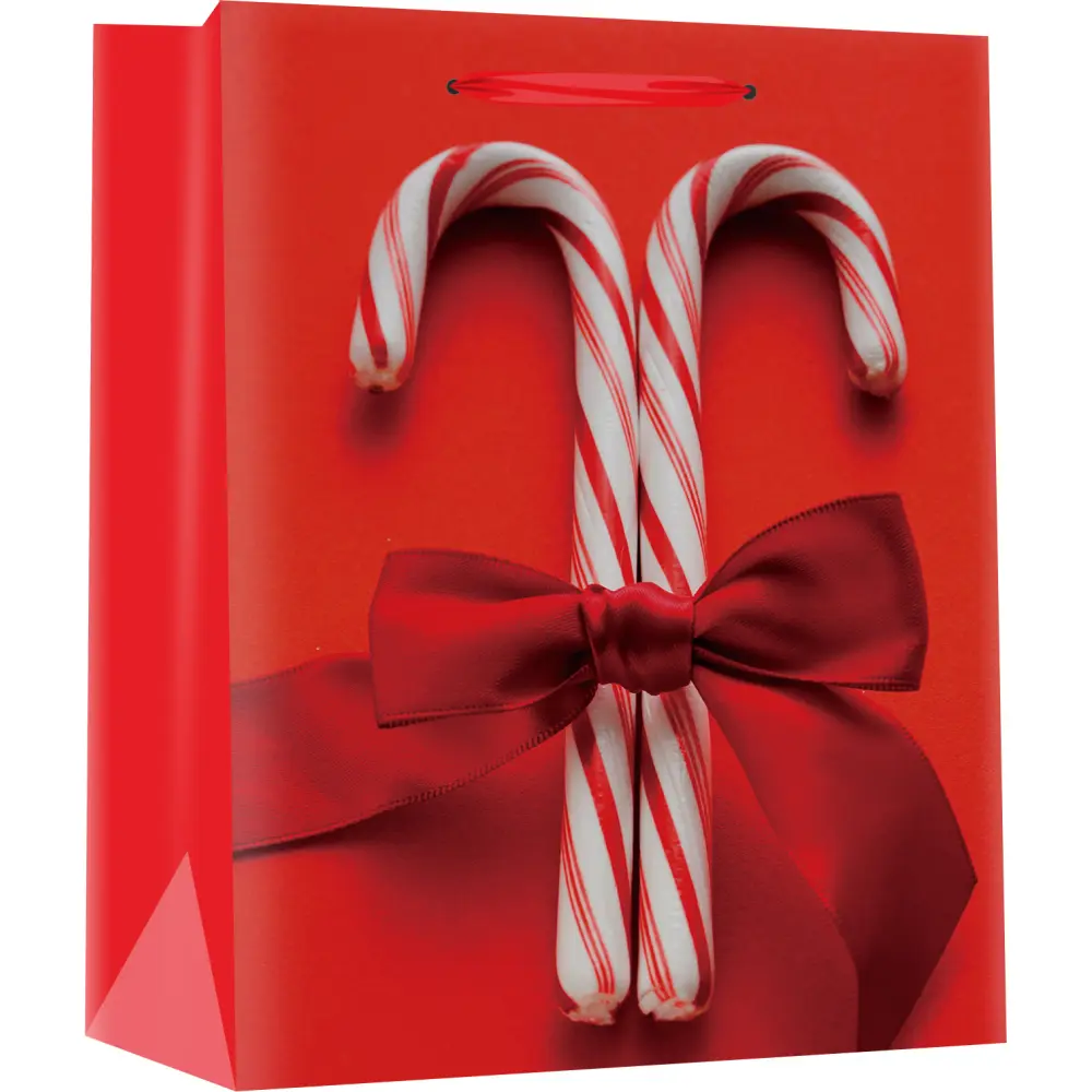 Darilna vrečka M novo leto