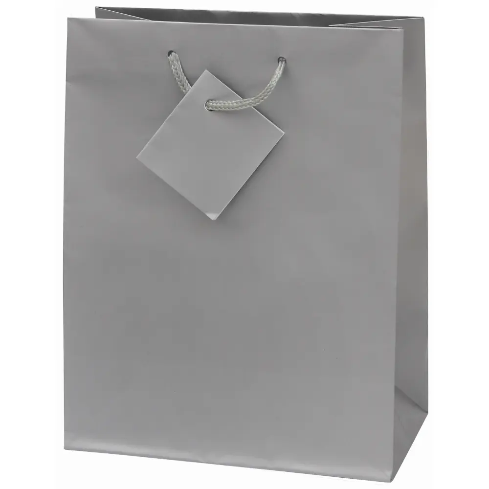 Darilna vrečka M srebrna