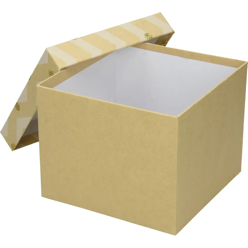 Darilna škatla CREATIVE natur 22x22x16cm