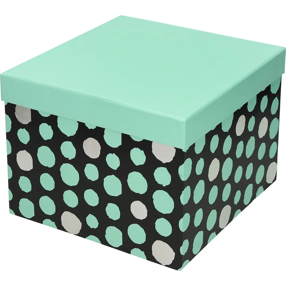 Darilna škatla CREATIVE pike 16x16x13cm