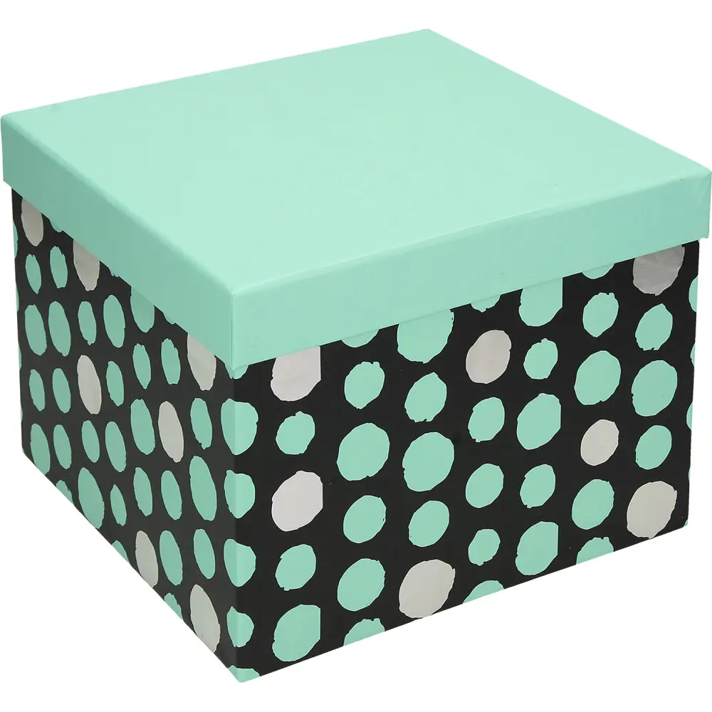 Darilna škatla CREATIVE pike 16x16x13cm