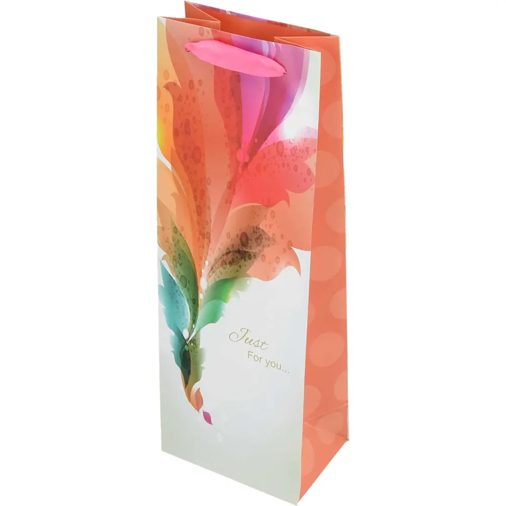 Darilna vrečka B rojstni dan