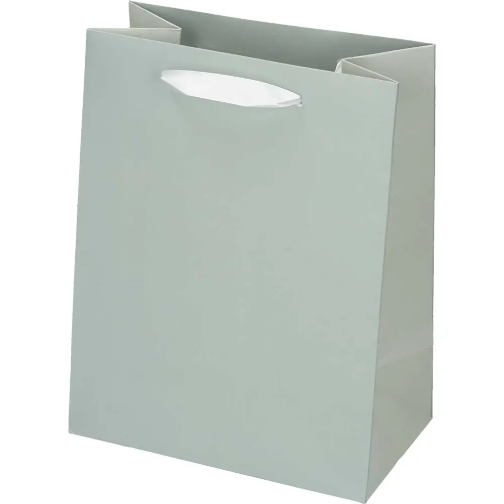 Darilna vrečka mint M