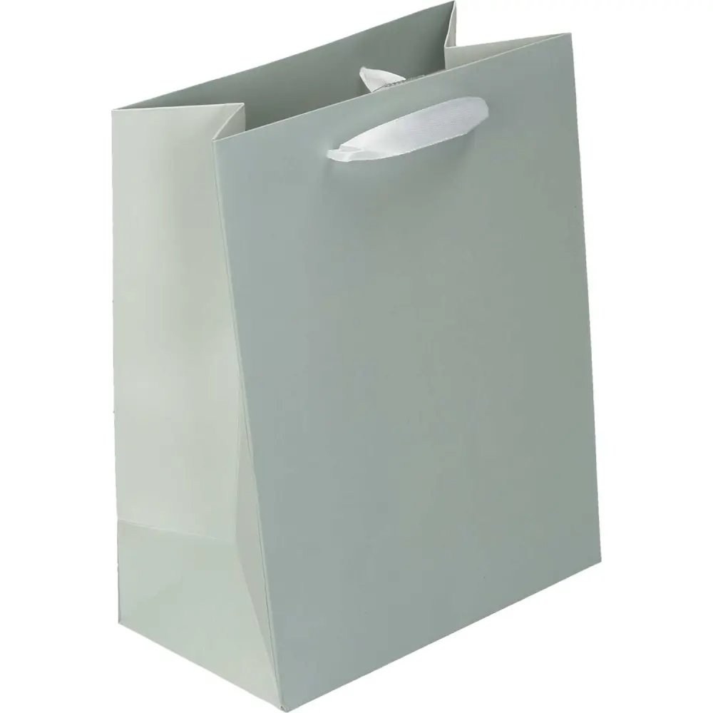 Darilna vrečka mint M