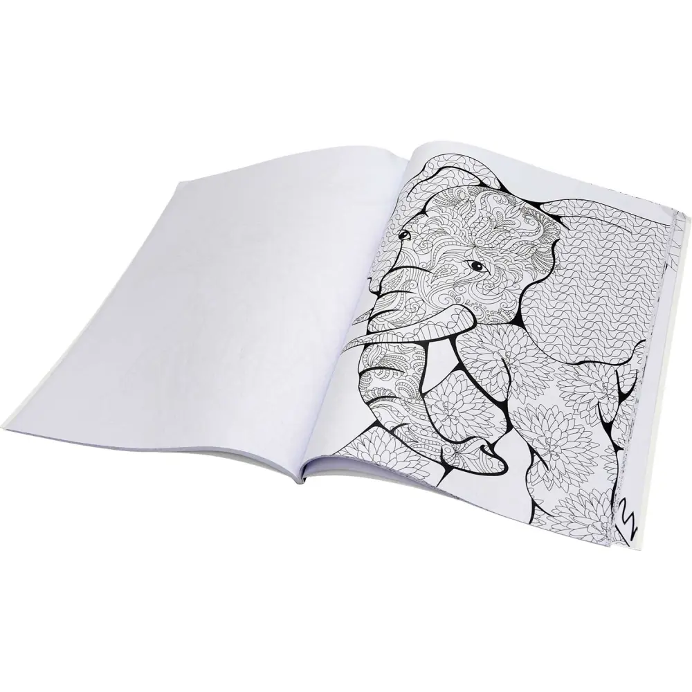 Pobarvanka CREATIVE odrasla živali 40l