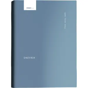 Dnevnik Vizija Petrol Moder