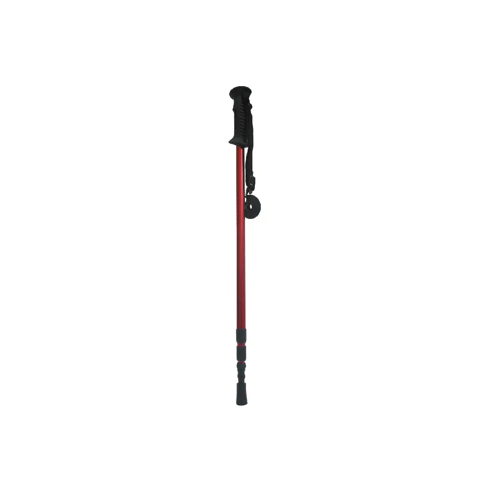 Pohodne palice Classic