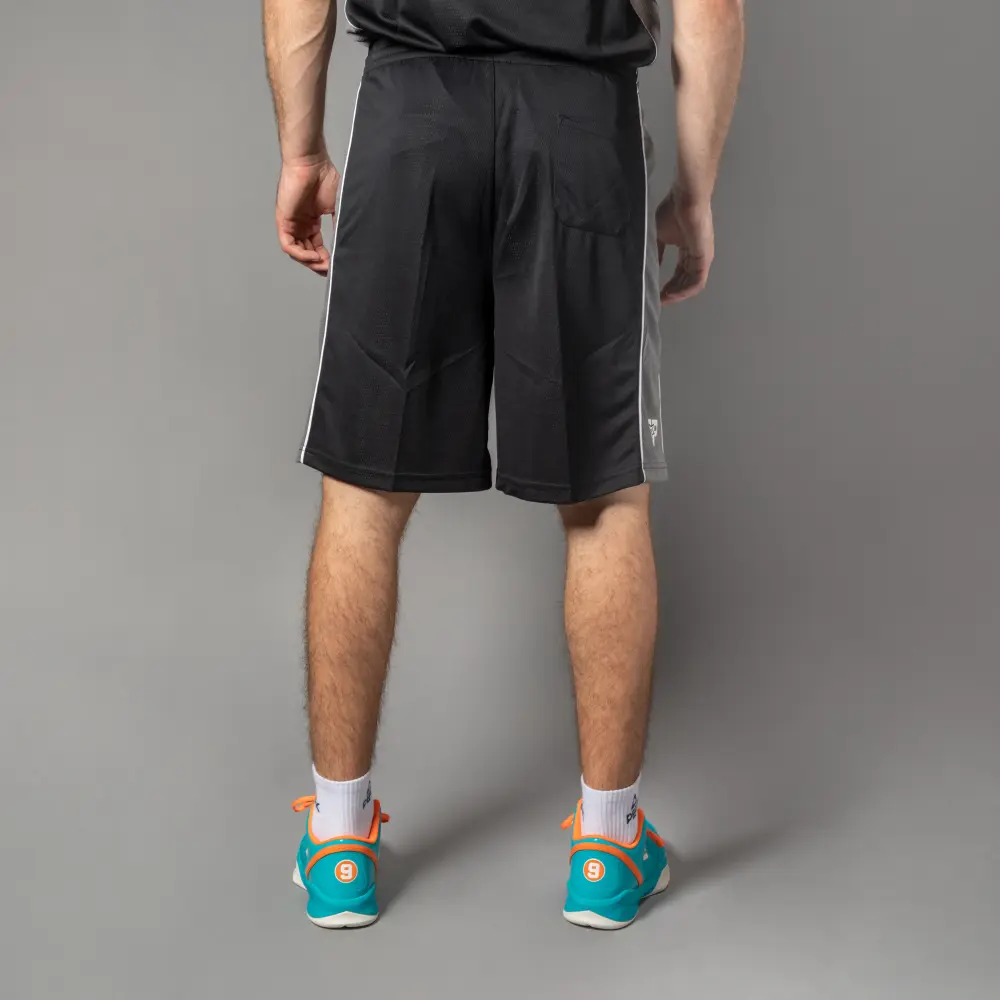 Moške hlače za košarko Peak F742311